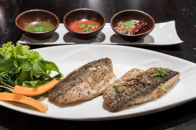 鱼肉、健康、食材-康兴医疗器械官网 鱼肉、健康、食材-康兴医疗器械官网